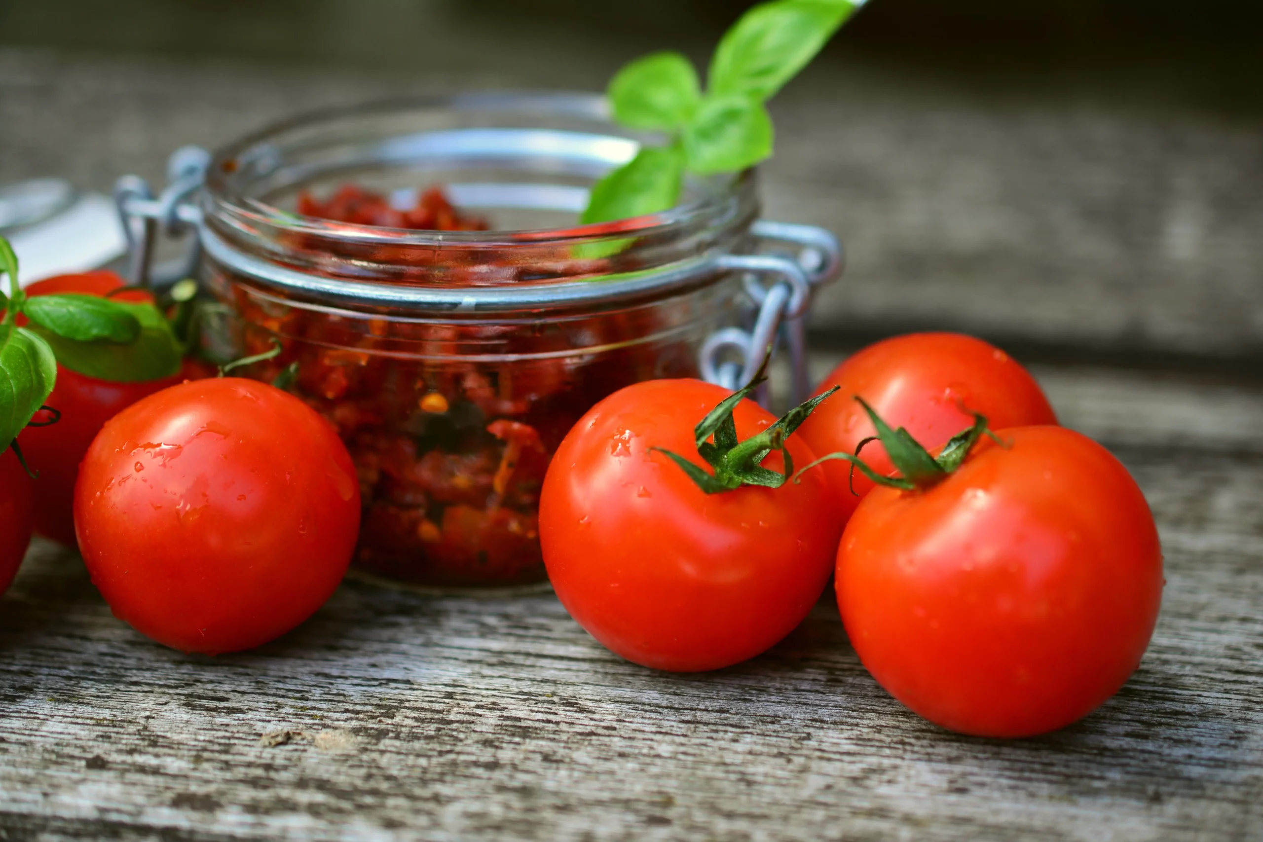 Como Cultivar Tomate Dicas Essenciais Para Um Plantio De Sucesso